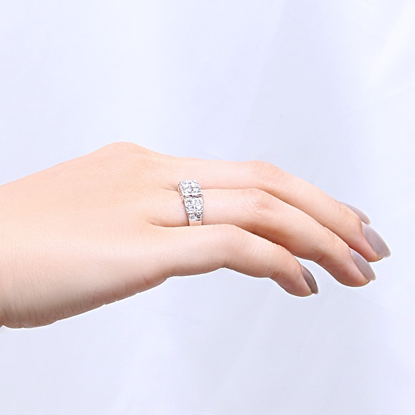 �v���`�i�_�C�������h�����O