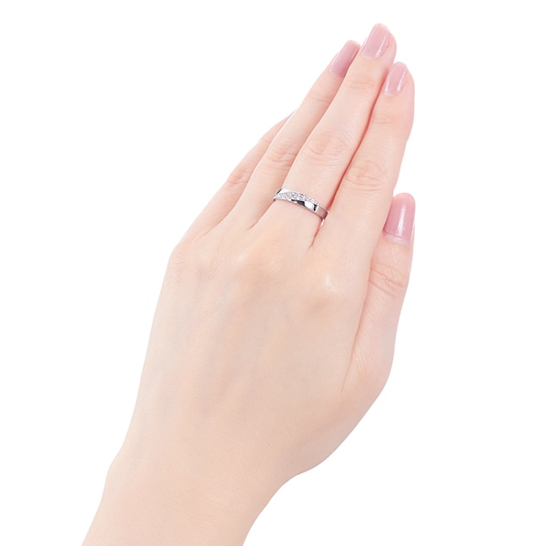 �v���`�i�_�C�������h�����O