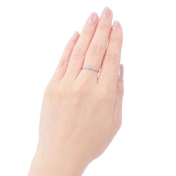 �v���`�i�_�C�������h�����O