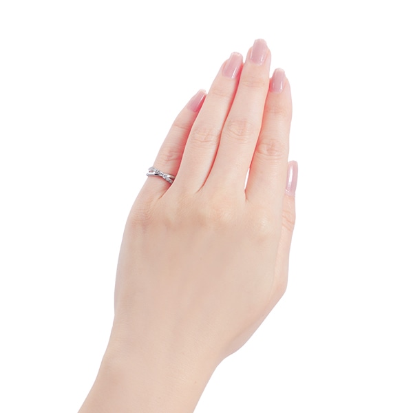 K10�z���C�g�S�[���h�_�C�������h�����O�i�s���L�[�����O�j