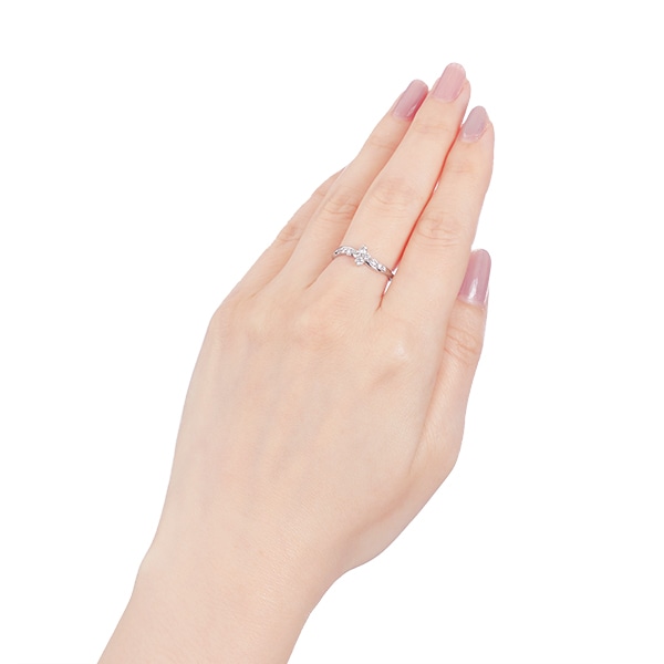 �v���`�i�_�C�������h�����O