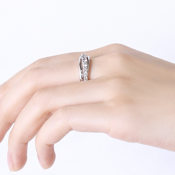 �v���`�i�_�C�������h�����O