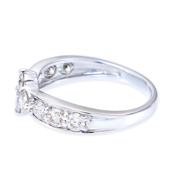 �v���`�i�_�C�������h�����O