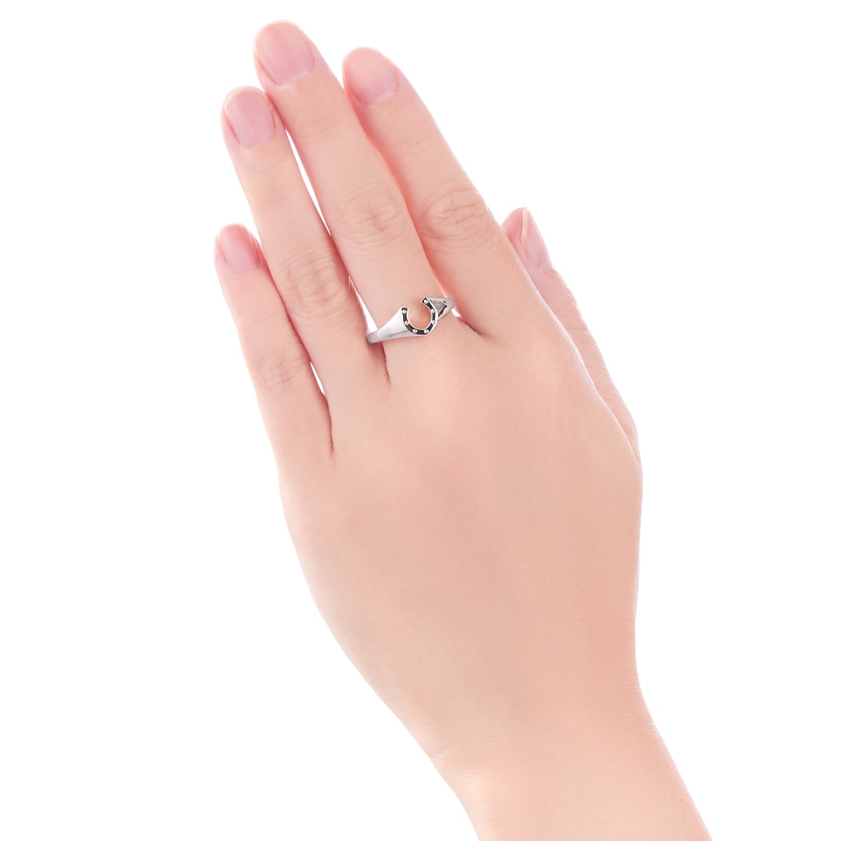 �v���`�i�����O