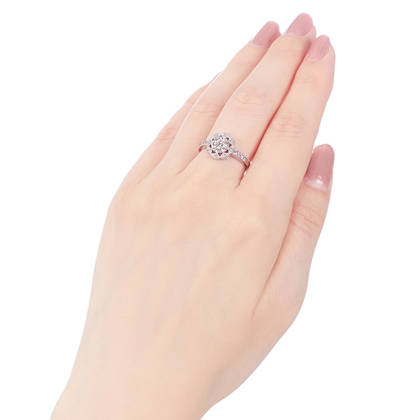 �v���`�i�_�C�������h�����O