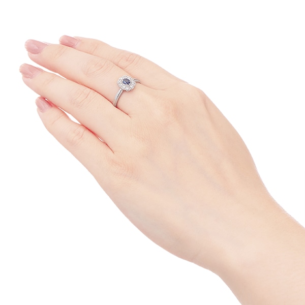 �v���`�i�T�t�@�C�A�����O