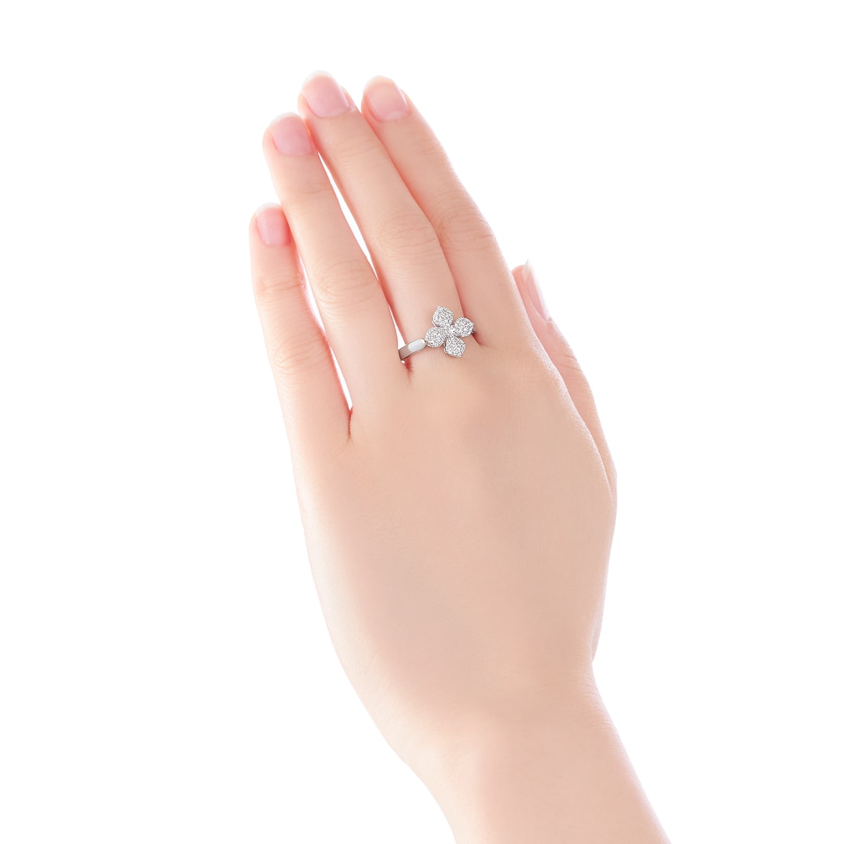 �v���`�i�_�C�������h�����O