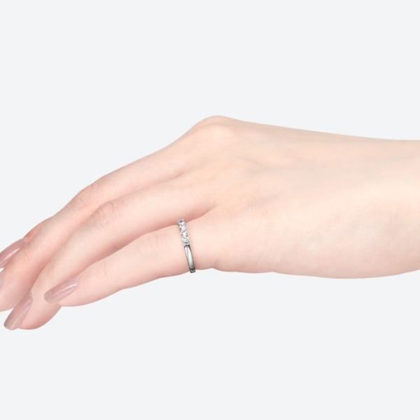 �v���`�i�_�C�������h�����O�i�s���L�[�����O�j