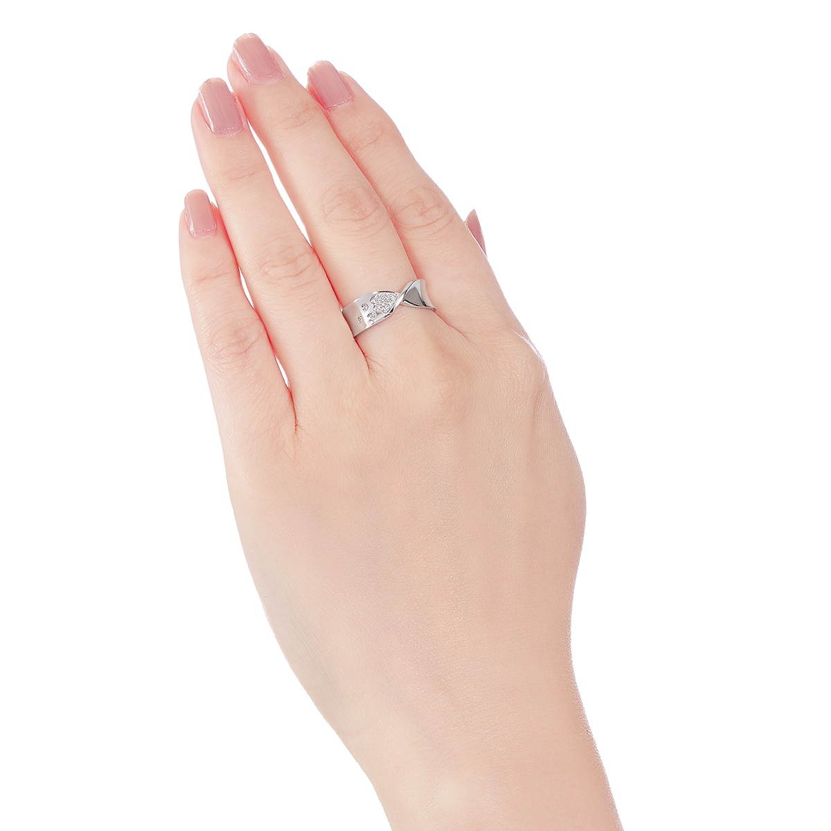 �v���`�i�_�C�������h�����O