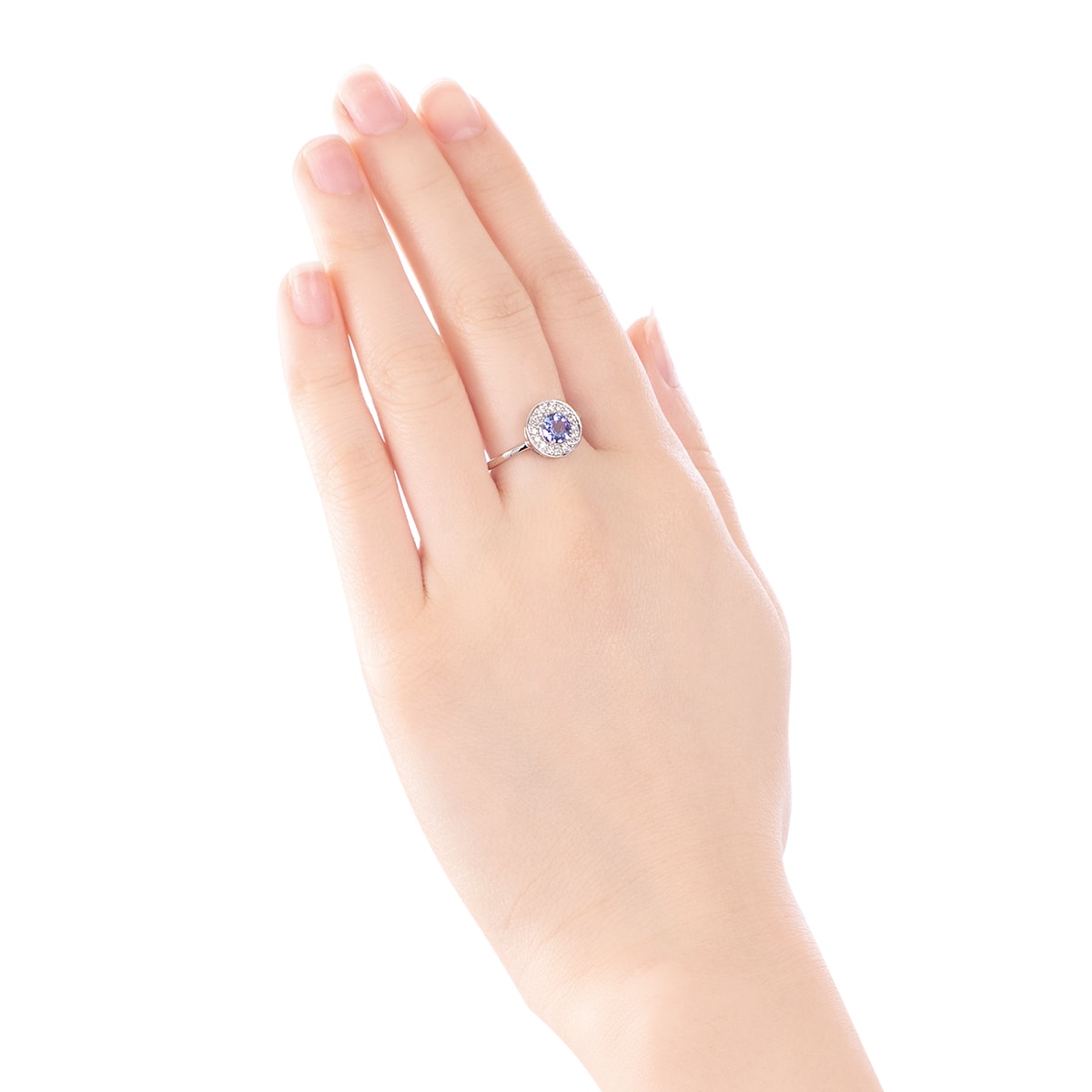 �v���`�i�^���U�i�C�g�����O