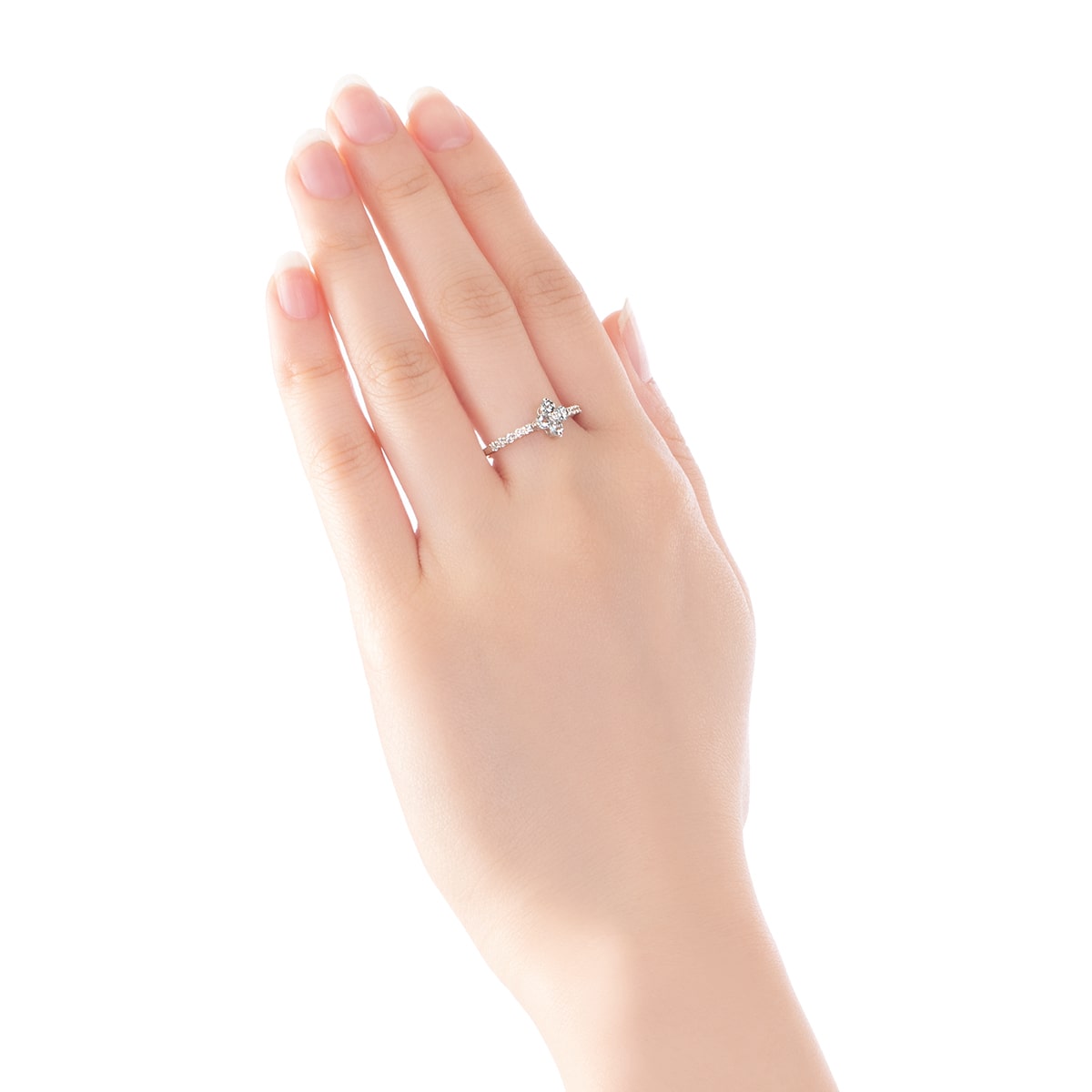 K10�z���C�g�S�[���h�A�N�A�}���������O