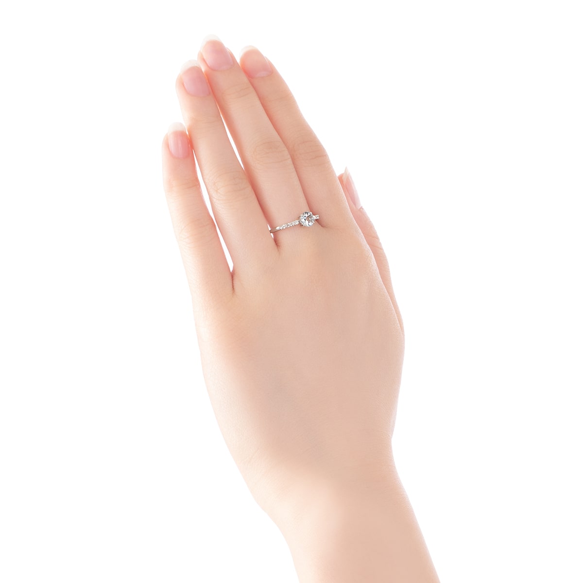 K10�z���C�g�S�[���h�A�N�A�}���������O