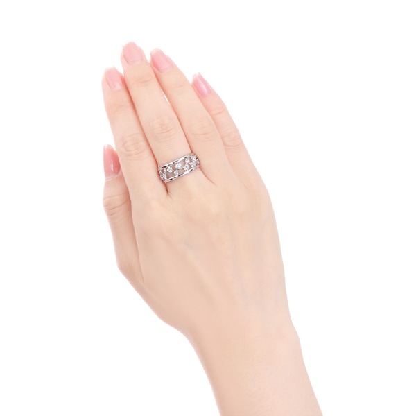 �v���`�i�_�C�������h�����O