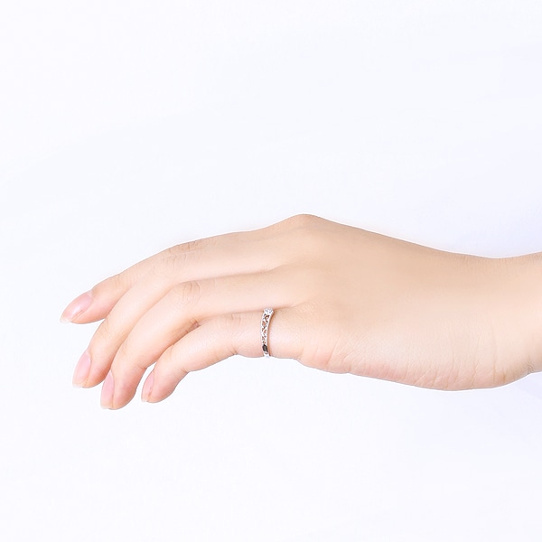 K10�z���C�g�S�[���h�_�C�������h�����O�i�s���L�[�����O�j