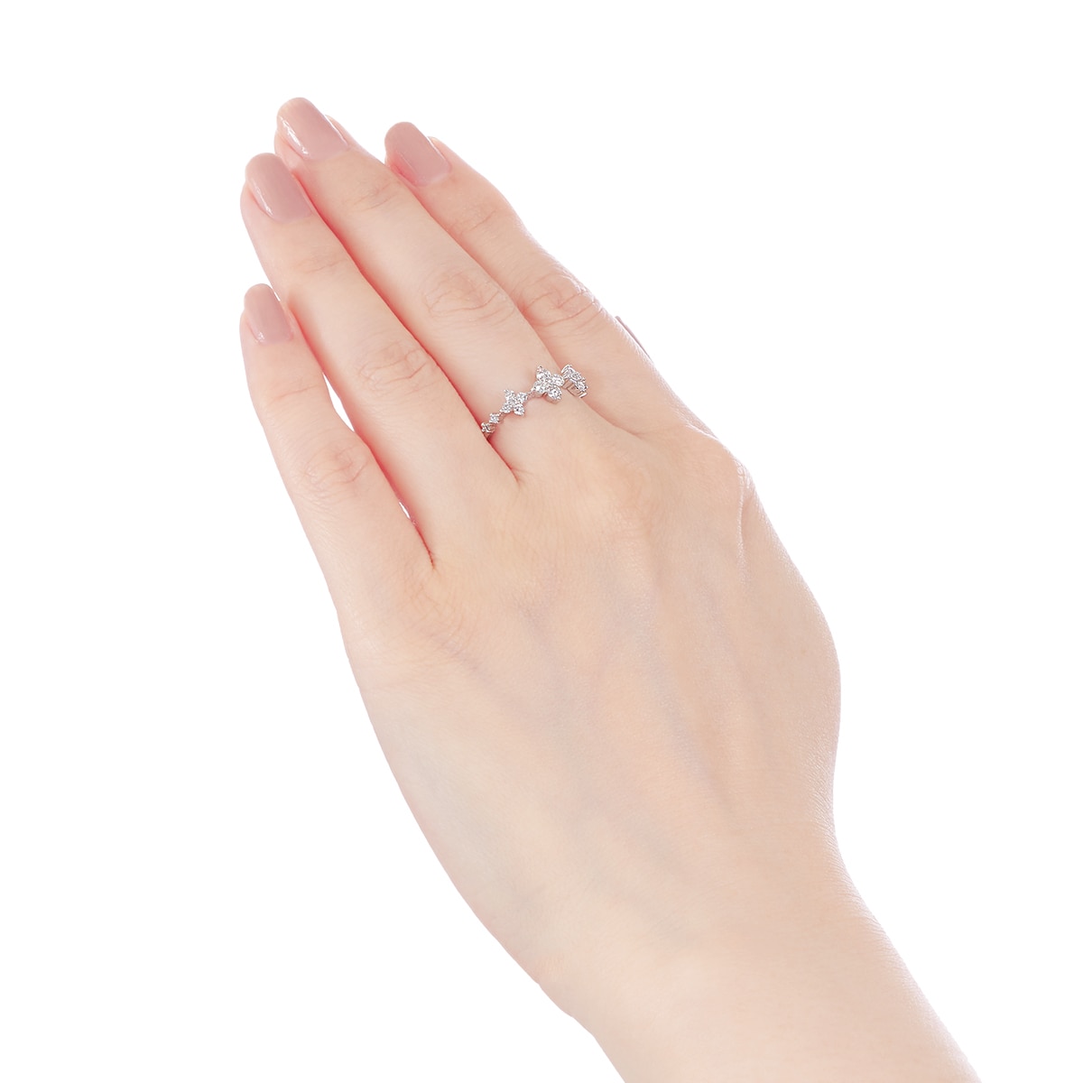 �v���`�i�_�C�������h�����O