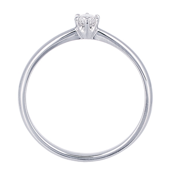 �v���`�i�Ӓ菑�t�_�C�������h�����O�i0.08�J���b�g�j