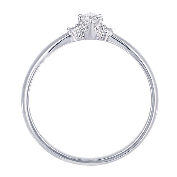 �v���`�i�Ӓ菑�t�_�C�������h�����O�i0.07�J���b�g�j