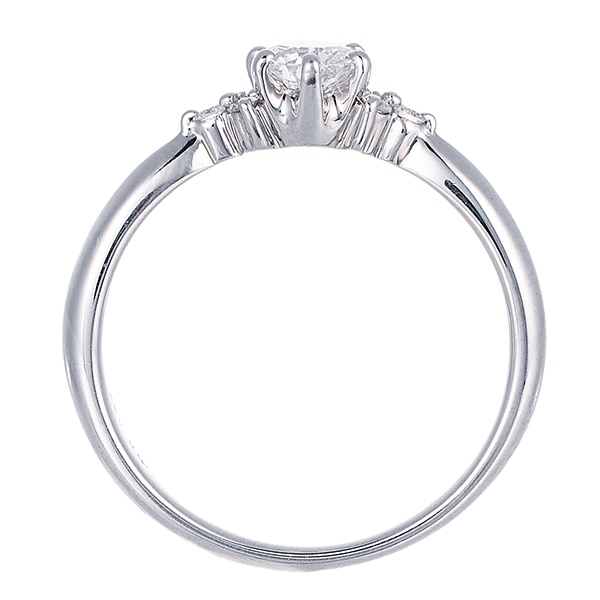 �v���`�i�Ӓ菑�t�_�C�������h�����O�i0.31�J���b�g�j