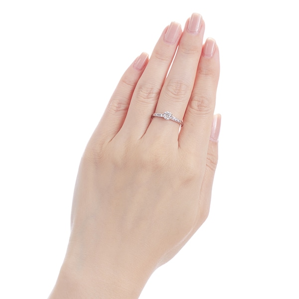 �v���`�i�Ӓ菑�t�_�C�������h�����O�i0.5�J���b�g�j