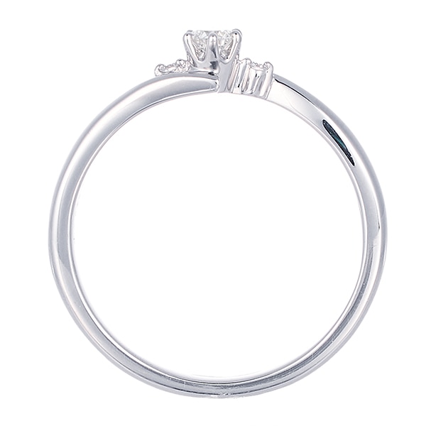 �v���`�i�Ӓ菑�t�_�C�������h�����O�i0.08�J���b�g�j