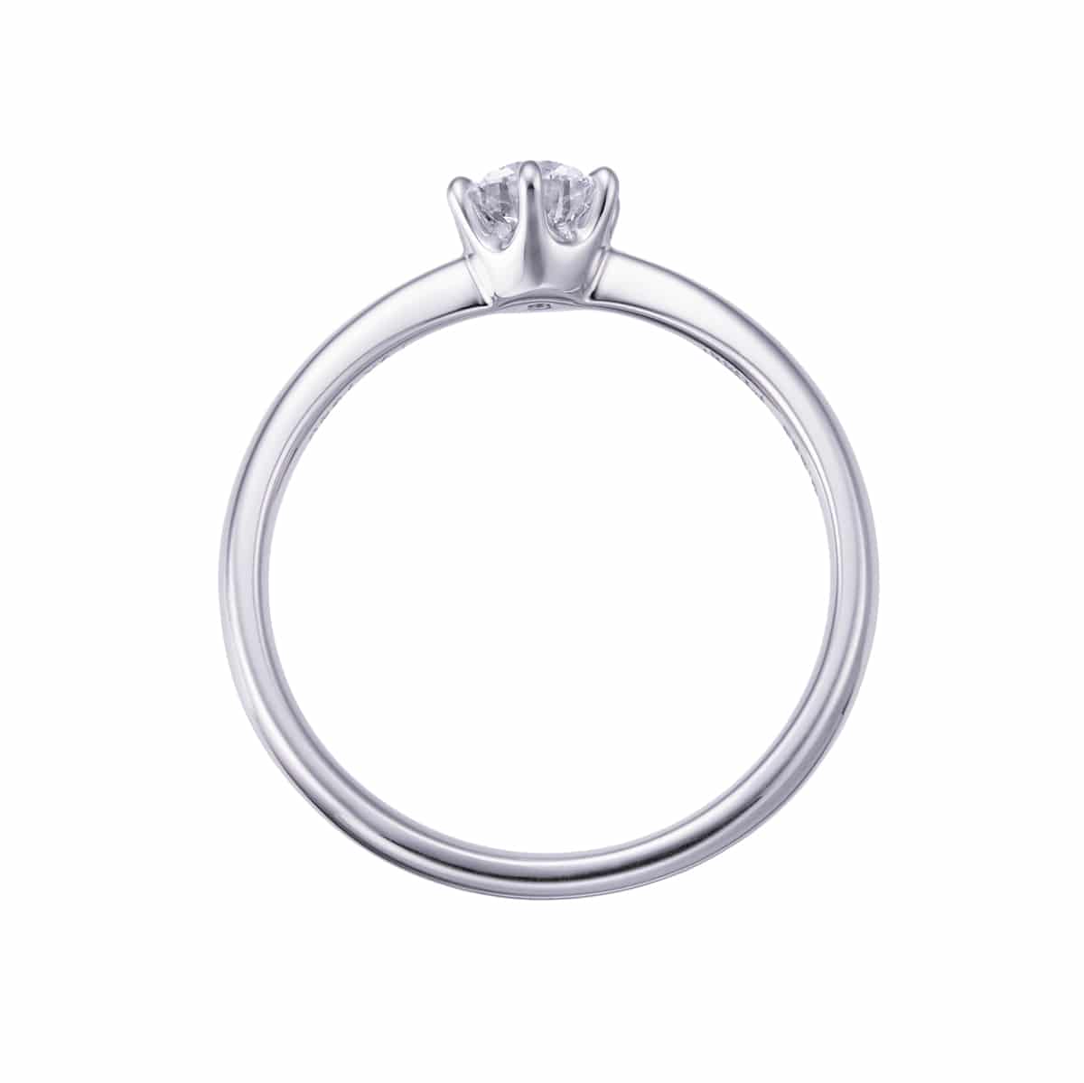 �v���`�i�Ӓ菑�t�_�C�������h�����O�i0.3�J���b�g�j