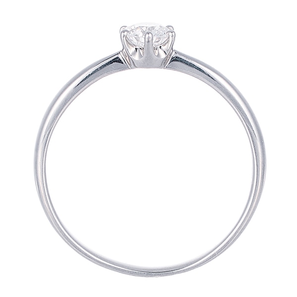 �v���`�i�Ӓ菑�t�_�C�������h�����O�i0.26�J���b�g�j