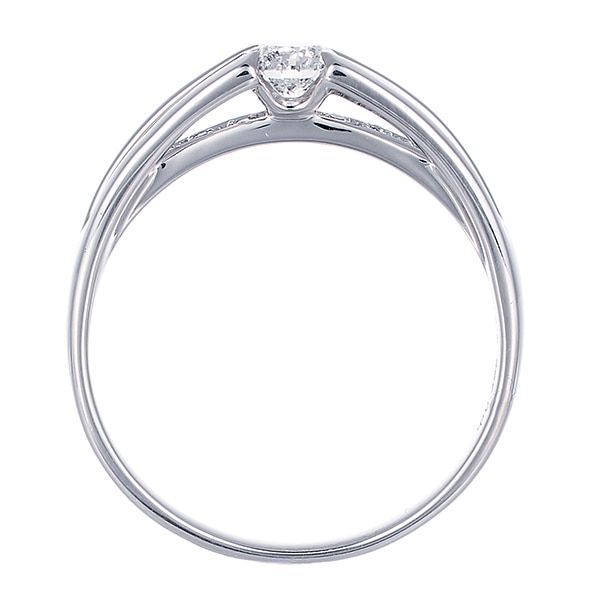 �v���`�i�Ӓ菑�t�_�C�������h�����O�i0.3�J���b�g�j