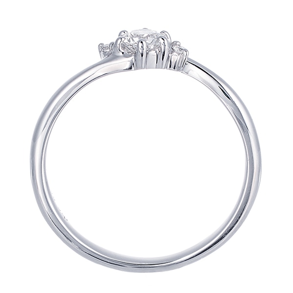 �v���`�i�Ӓ菑�t�_�C�������h�����O�i0.23�J���b�g�j