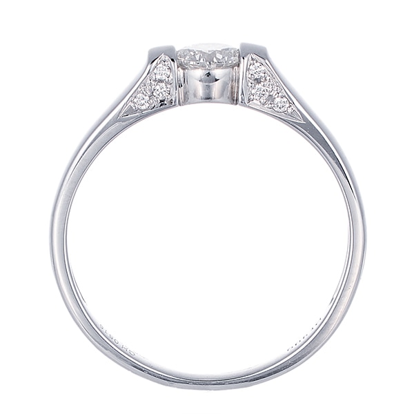 �v���`�i�Ӓ菑�t�_�C�������h�����O�i0.3�J���b�g�j