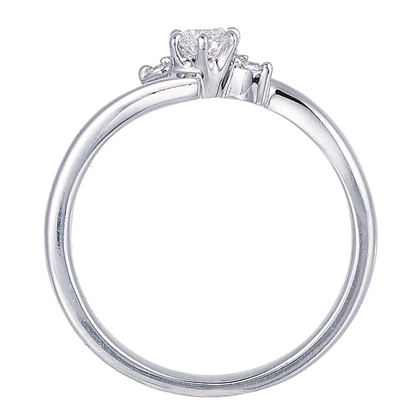 �v���`�i�Ӓ菑�t�_�C�������h�����O�i0.18�J���b�g�j