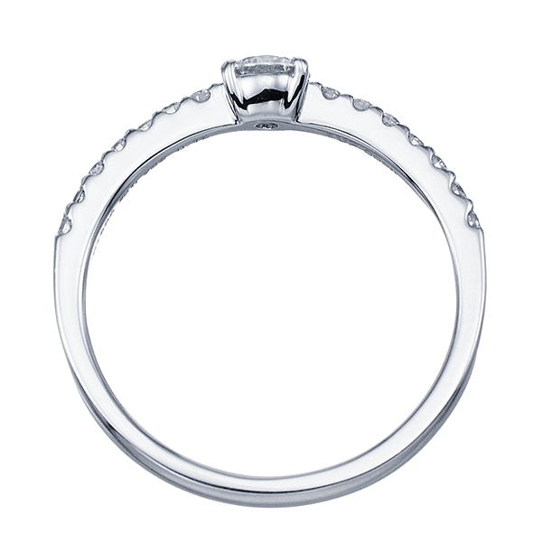 �v���`�i�Ӓ菑�t�_�C�������h�����O�i0.23�J���b�g�j