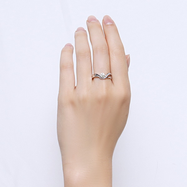 �v���`�i�Ӓ菑�t�_�C�������h�����O�i0.3�J���b�g�j