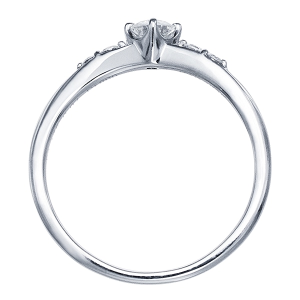 �v���`�i�Ӓ菑�t�_�C�������h�����O�i0.2�J���b�g�j