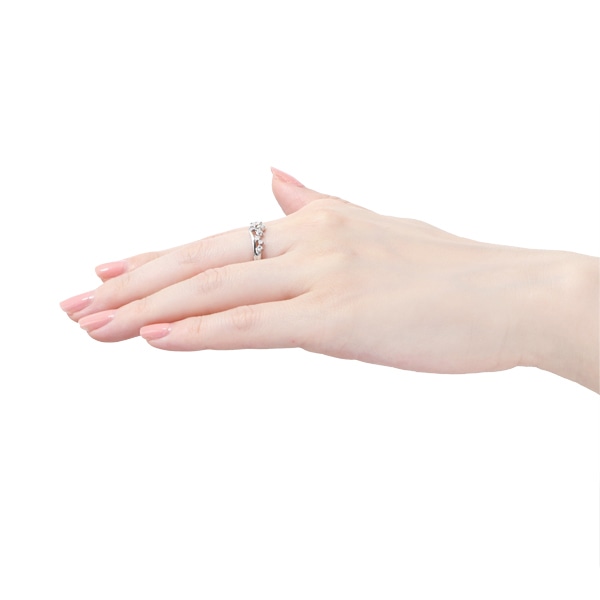 �v���`�i�Ӓ菑�t�_�C�������h�����O�i0.29�J���b�g�j