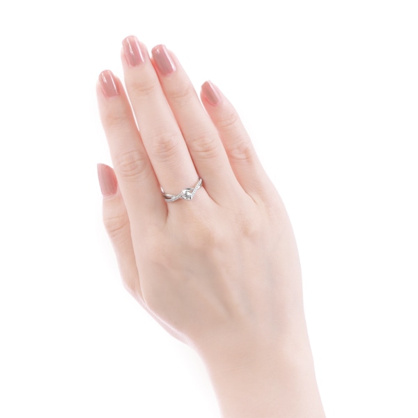 �v���`�i�Ӓ菑�t�_�C�������h�����O(0.18�J���b�g)