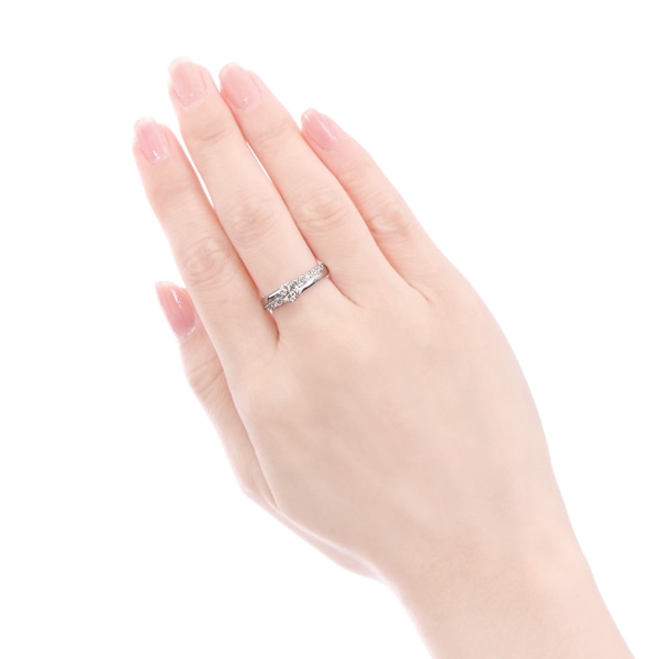 �v���`�i�Ӓ菑�t�_�C�������h�����O�i0.5�J���b�g�j