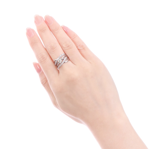 �v���`�i�Ӓ菑�t�_�C�������h�����O�i0.33�J���b�g�j