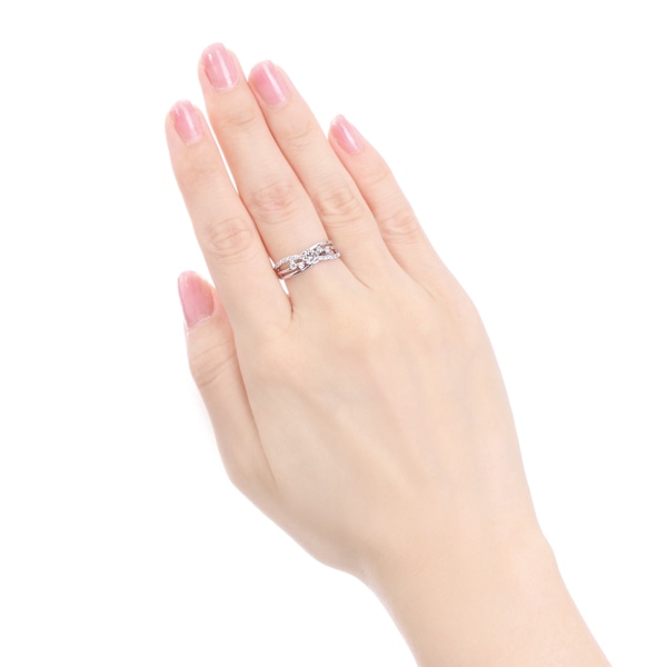 �v���`�i�Ӓ菑�t�_�C�������h�����O�i0.3�J���b�g�j