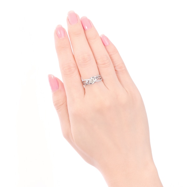 �v���`�i�Ӓ菑�t�_�C�������h�����O�i0.3�J���b�g�j