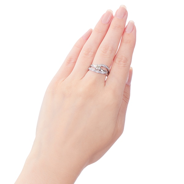 �v���`�i�Ӓ菑�t�_�C�������h�����O�i0.5�J���b�g�j