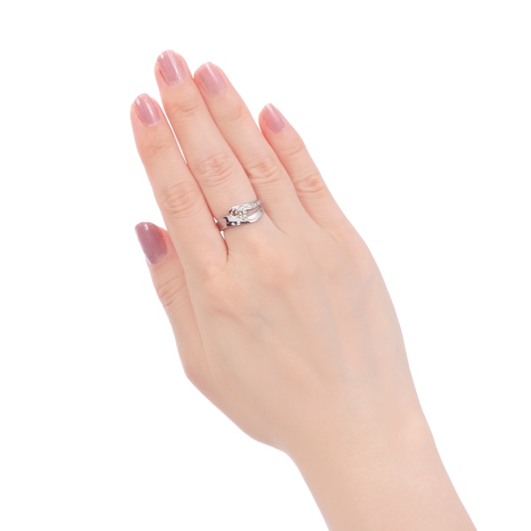 �v���`�i�Ӓ菑�t�_�C�������h�����O�i0.3�J���b�g�j