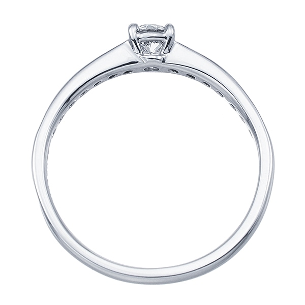 �v���`�i�Ӓ菑�t�_�C�������h�����O�i0.17�J���b�g�j