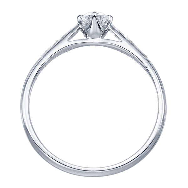 �v���`�i�Ӓ菑�t�_�C�������h�����O�i0.18�J���b�g�j