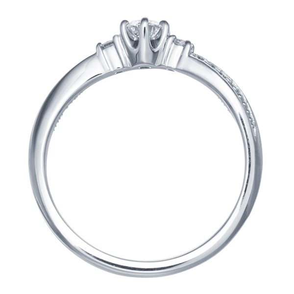 �v���`�i�Ӓ菑�t�_�C�������h�����O�i0.18�J���b�g�j