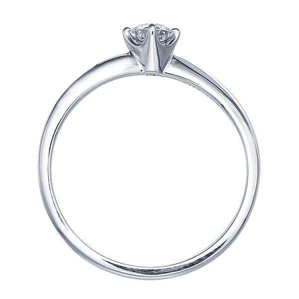 �v���`�i�Ӓ菑�t�_�C�������h�����O�i0.18�J���b�g�j