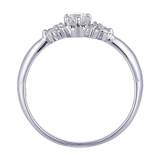 �v���`�i�Ӓ菑�t�_�C�������h�����O�i0.18�J���b�g�j