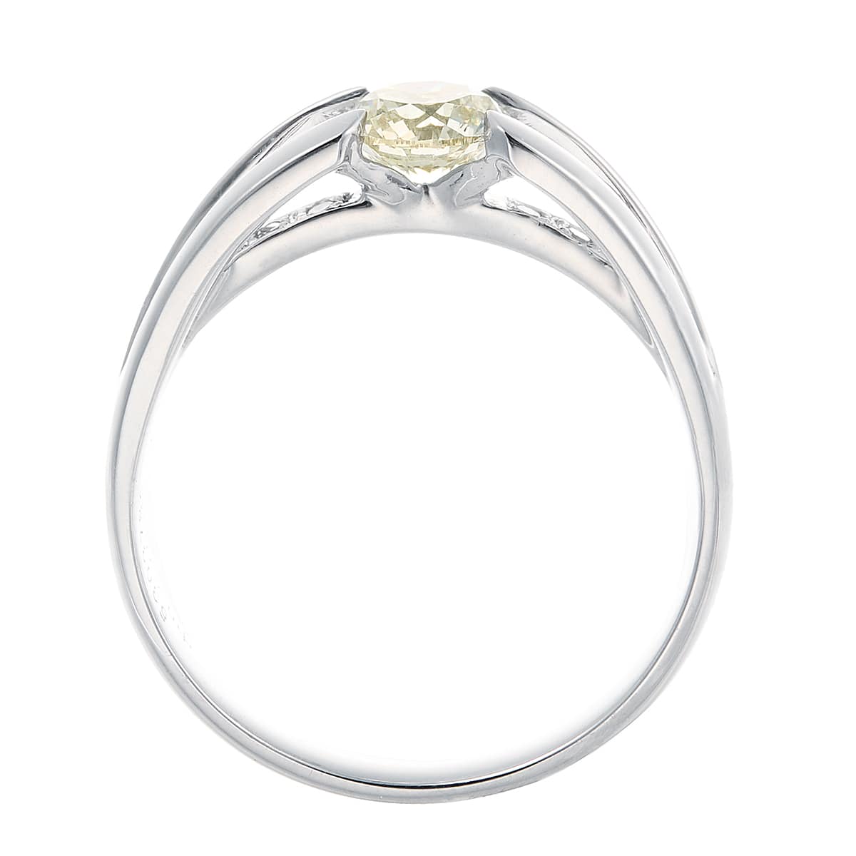 �v���`�i�Ӓ菑�t�_�C�������h�����O�i0.5�J���b�g�j