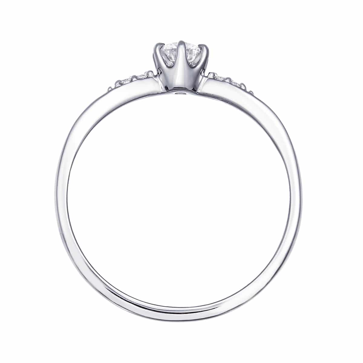 �v���`�i�Ӓ菑�t�_�C�������h�����O�i0.2�J���b�g�j