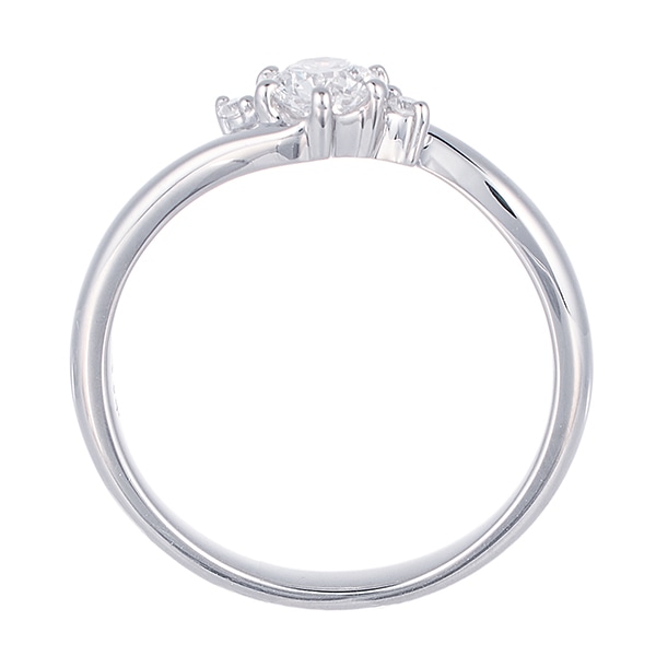 �v���`�i�Ӓ菑�t�_�C�������h�����O�i0.3�J���b�g�j