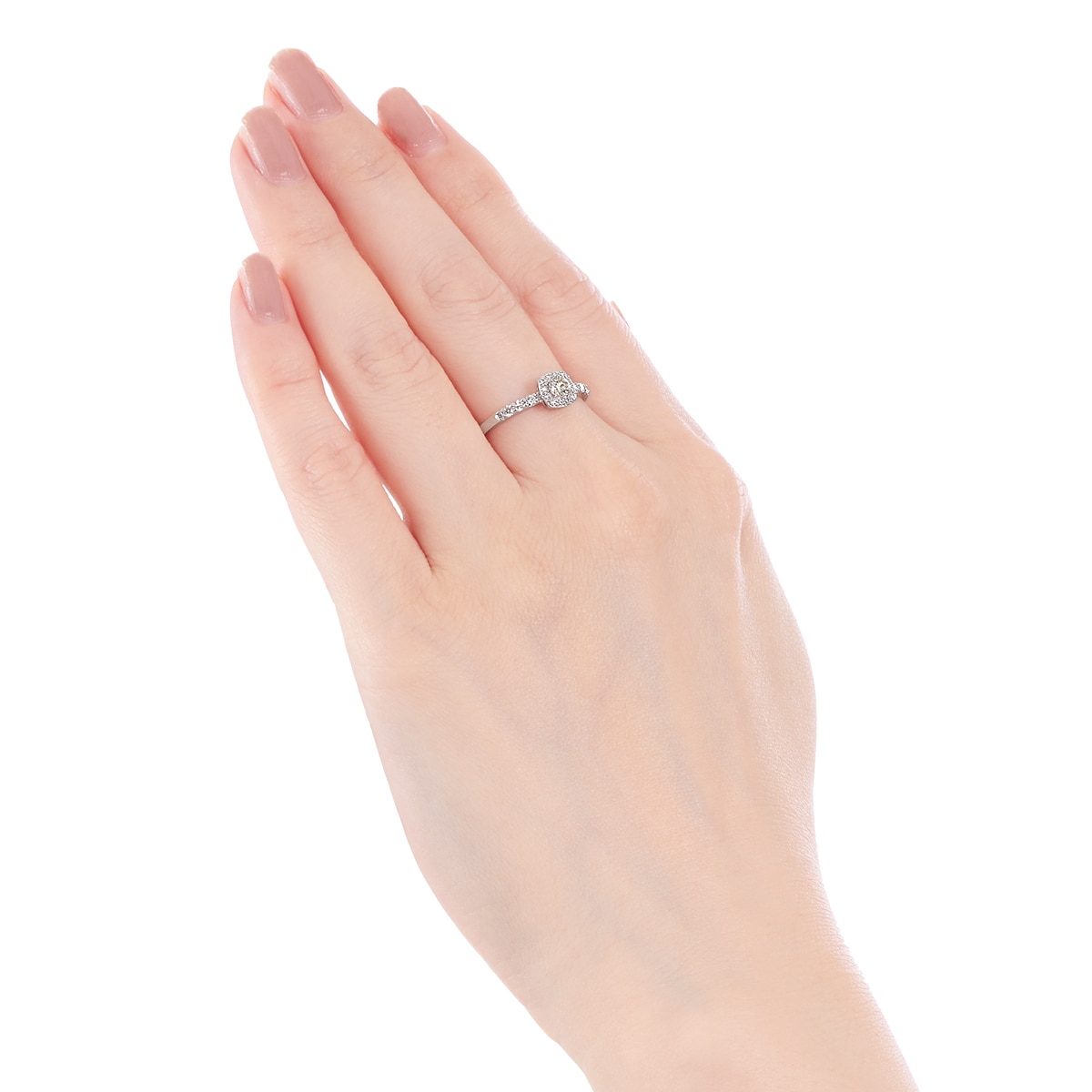 �v���`�i�Ӓ菑�t�_�C�������h�����O�i0.15�J���b�g�j